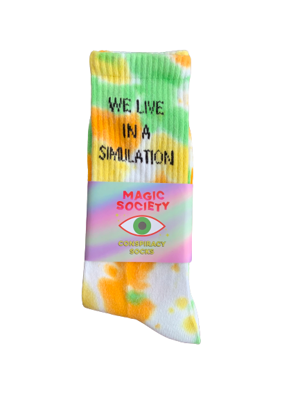 WE LIVE IN A SIMULATION CONSPIRACY SOCKS