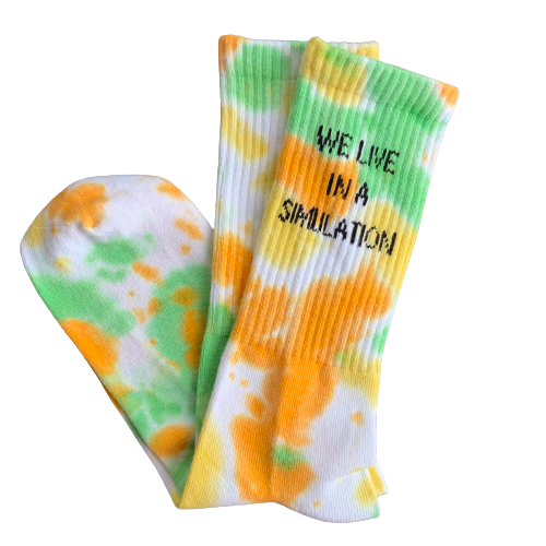 WE LIVE IN A SIMULATION CONSPIRACY SOCKS